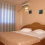 Pension Andronic