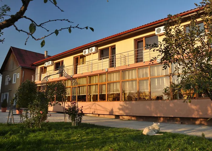 Pension Andronic